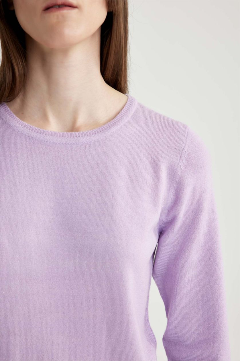 Woman Light Lilac Regular Fit Crew Neck Pullover