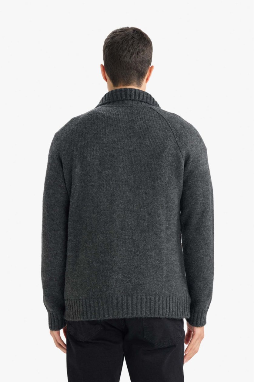 رجال أنثرا سترة تريكو قصة عادية بياقة عالية