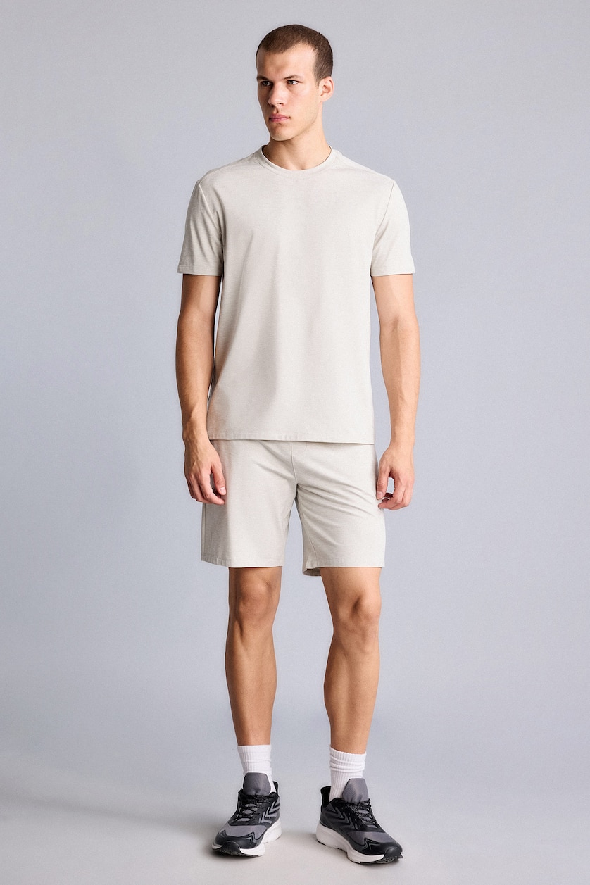 Men Stone Standard Fit Short Sleeve T-Shirt