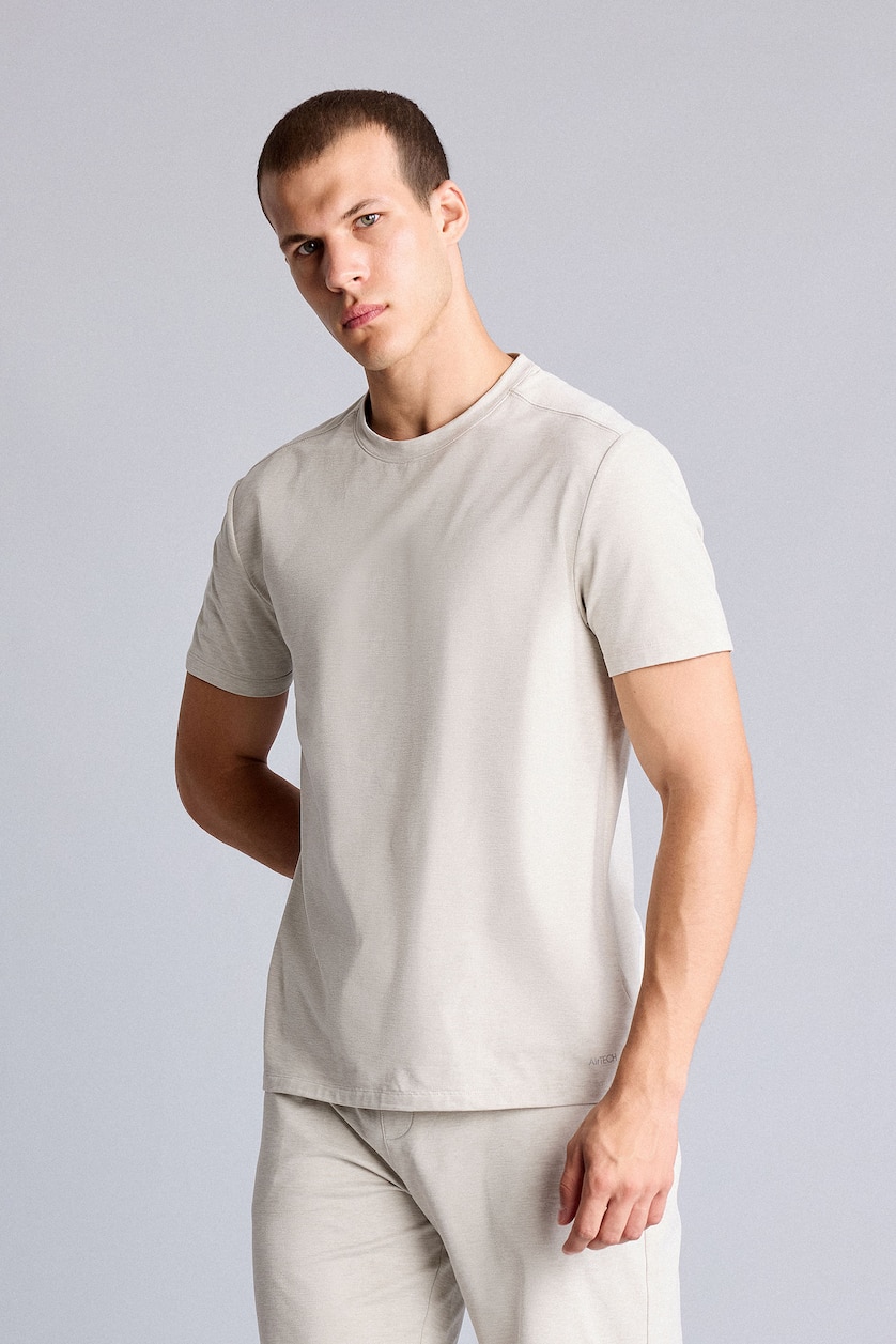 Men Stone Standard Fit Short Sleeve T-Shirt