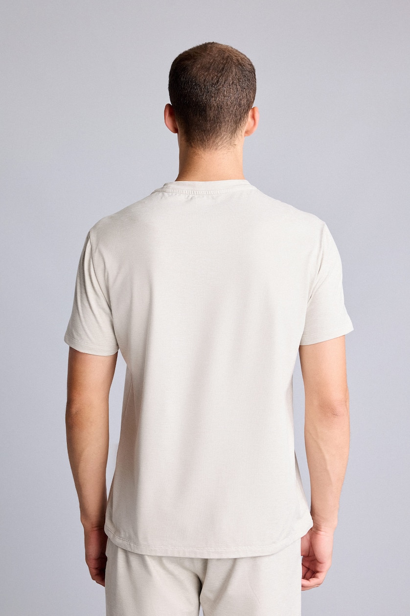 Men Stone Standard Fit Short Sleeve T-Shirt