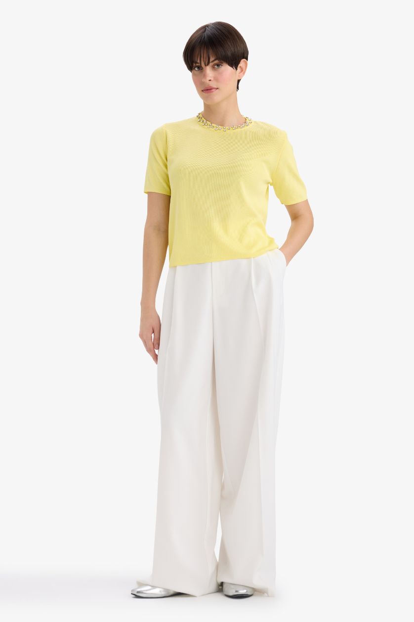 Kadın Açık Sarı Regular Fit Bisiklet Yaka İşlemeli Krep Kısa Kollu Triko Kazak