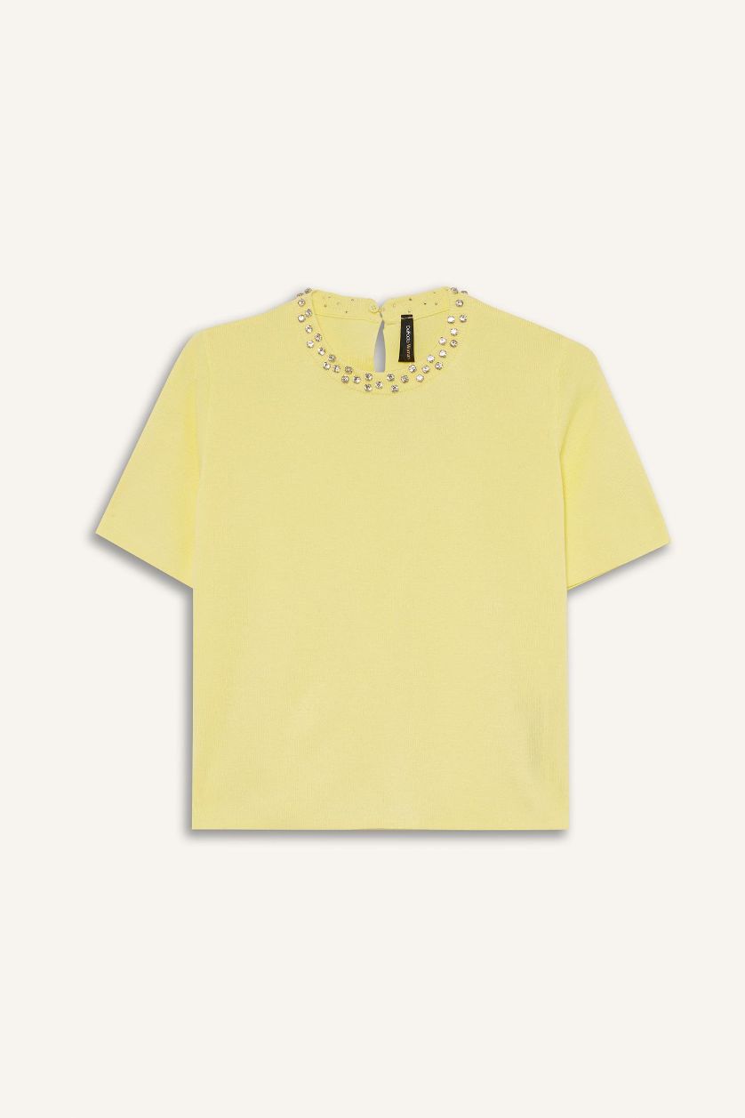 Kadın Açık Sarı Regular Fit Bisiklet Yaka İşlemeli Krep Kısa Kollu Triko Kazak