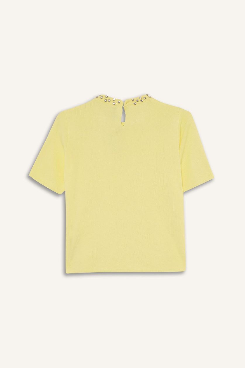 Kadın Açık Sarı Regular Fit Bisiklet Yaka İşlemeli Krep Kısa Kollu Triko Kazak