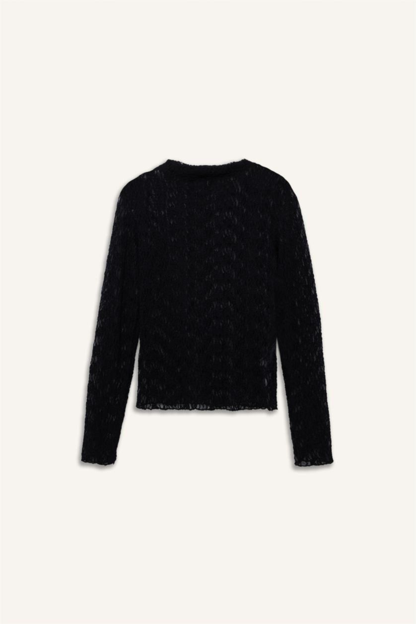 Женщины Черный Блузка Slim Fit с обтягивающим силуэтом и длинными рукавами из кружева