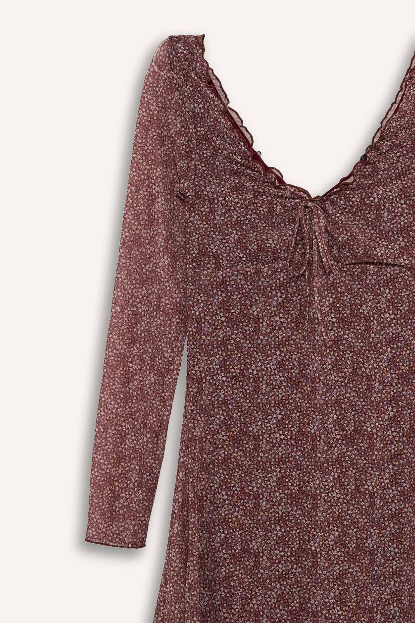 Woman Bordeaux V-Neck Floral Tulle Mini Dress