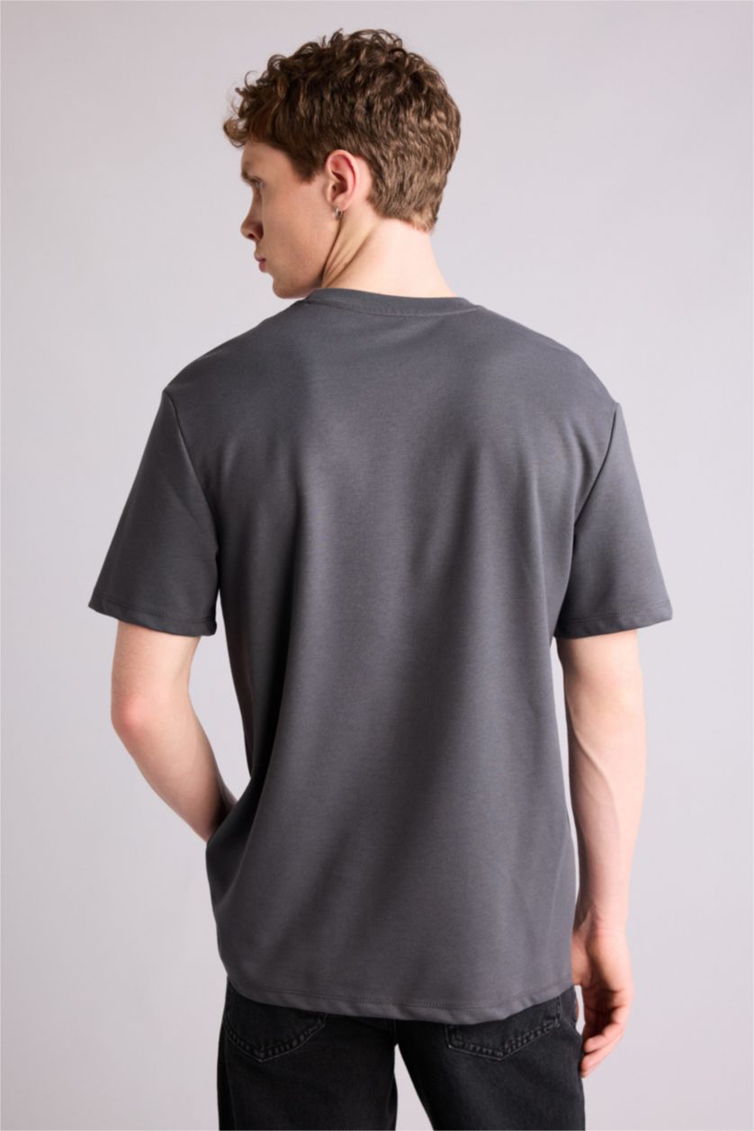 Erkek Antrasit Regular Fıt Bisiklet Yaka Baskılı Kısa Kollu Tişört