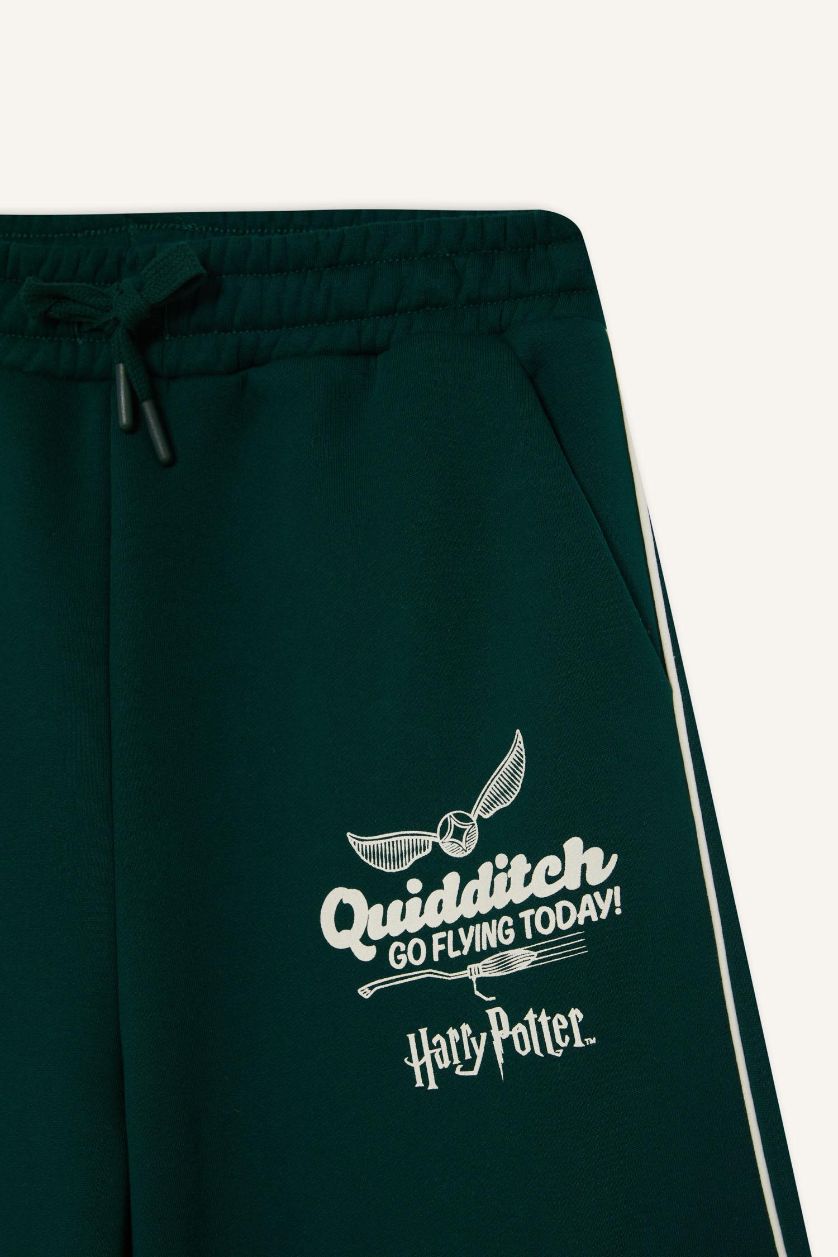 Kadın Yeşil Harry Potter Wide Leg Kalın Eşofman Altı