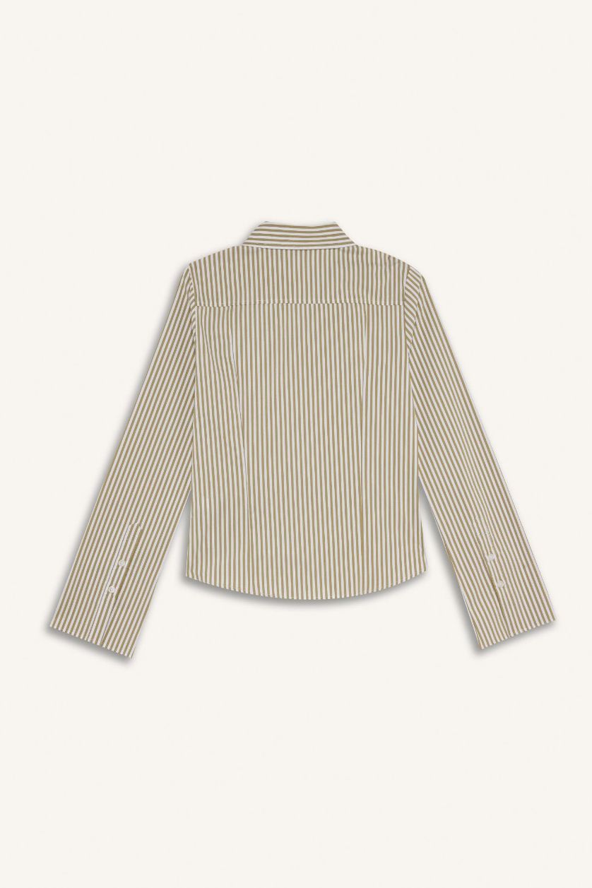 WOMAN Green Fitted Poplin Long Sleeve Striped Shirt