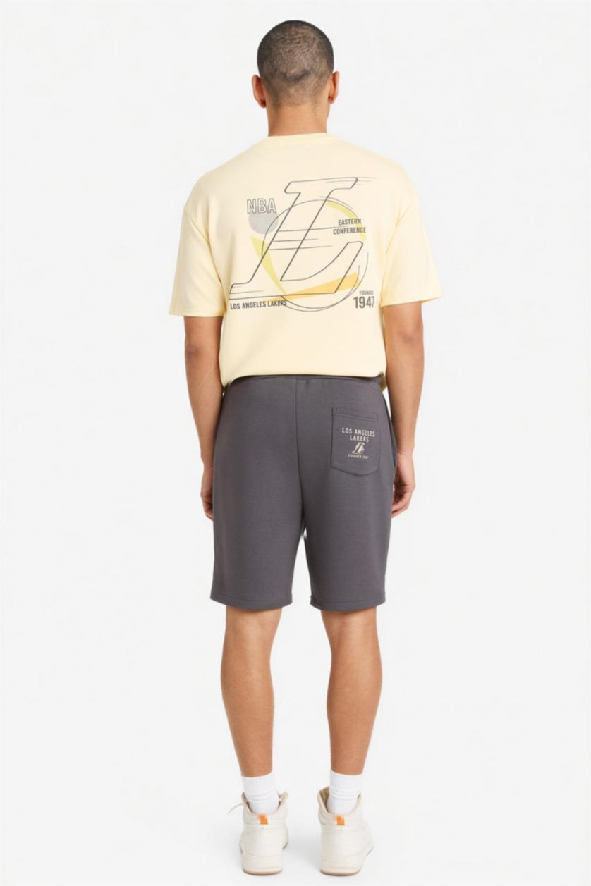 Мужчины Антрацит Шорты NBA Los Angeles Lakers Standart Fit