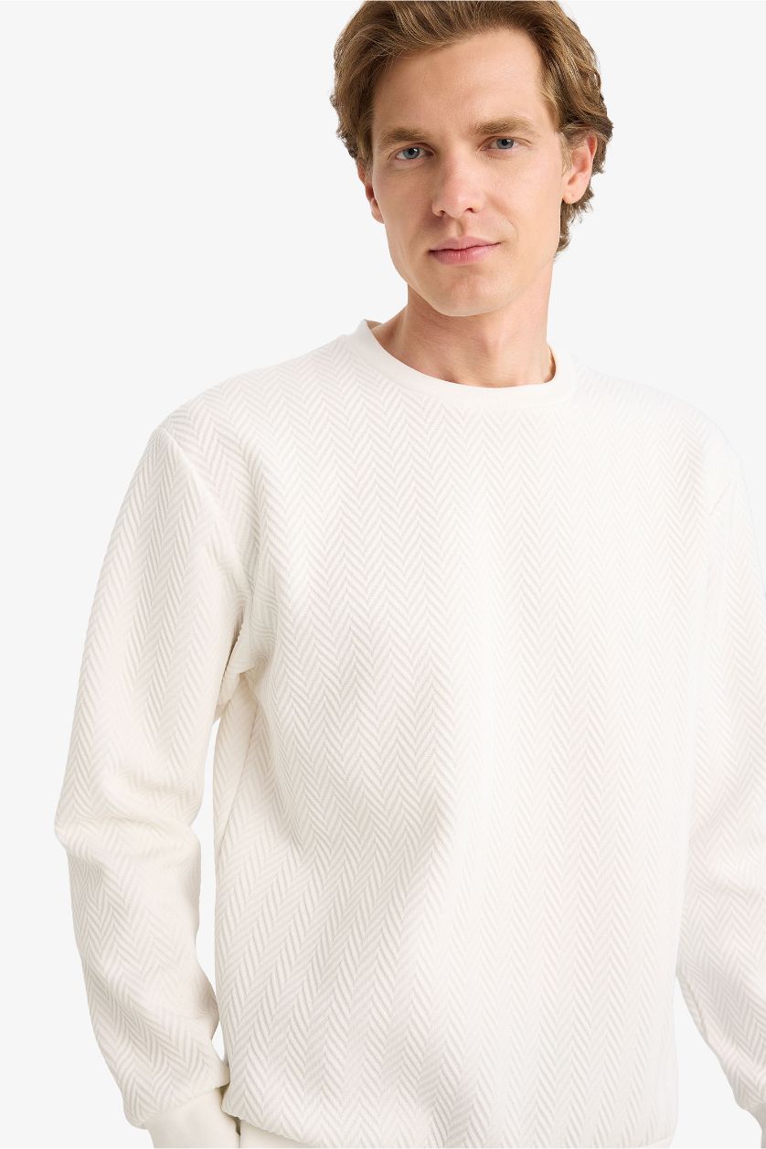 Erkek Kırık Beyaz Regular Fit Sweatshirt