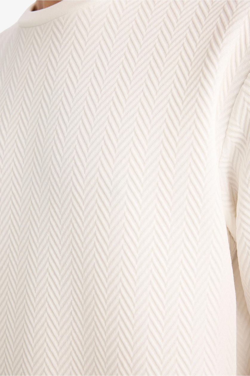 Erkek Kırık Beyaz Regular Fit Sweatshirt