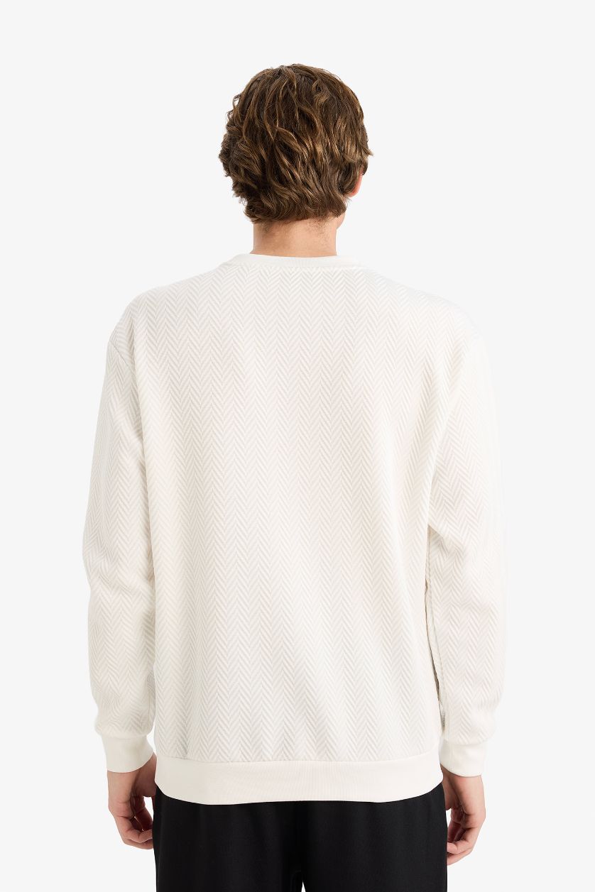Erkek Kırık Beyaz Regular Fit Sweatshirt