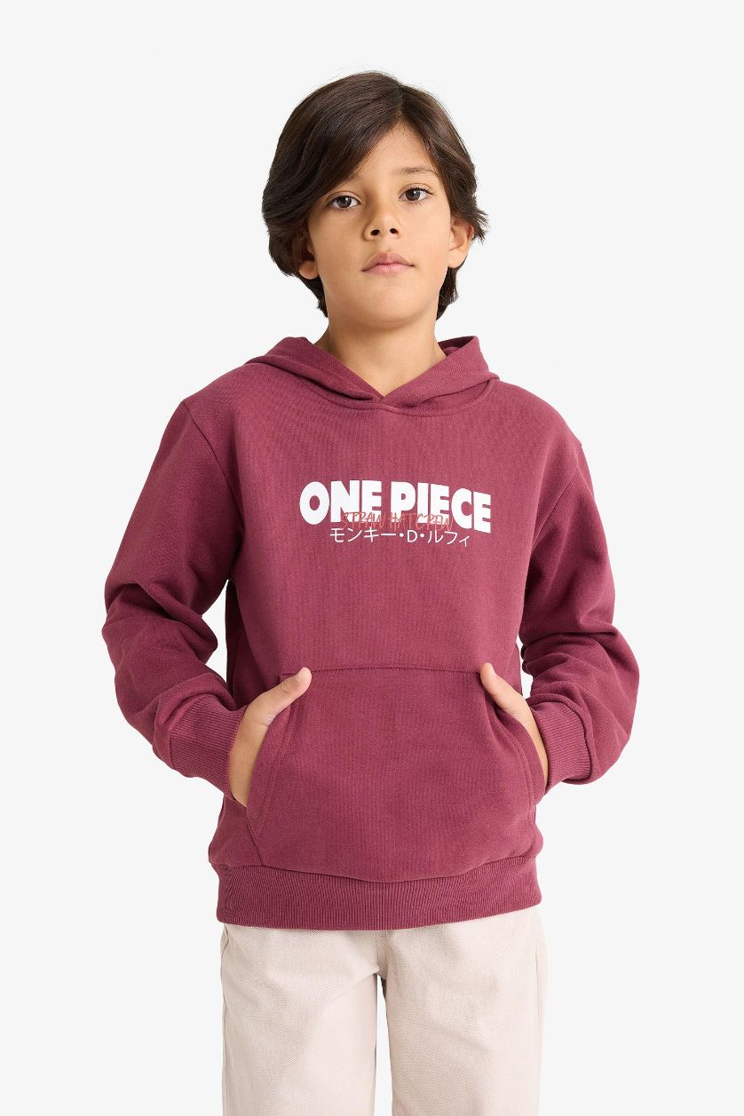 Boys & Teens Bordeaux Boy One Piece Hooded Soft Lining Sweatshirt