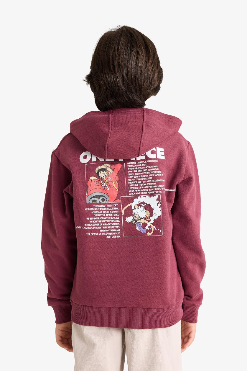 Boys & Teens Bordeaux Boy One Piece Hooded Soft Lining Sweatshirt