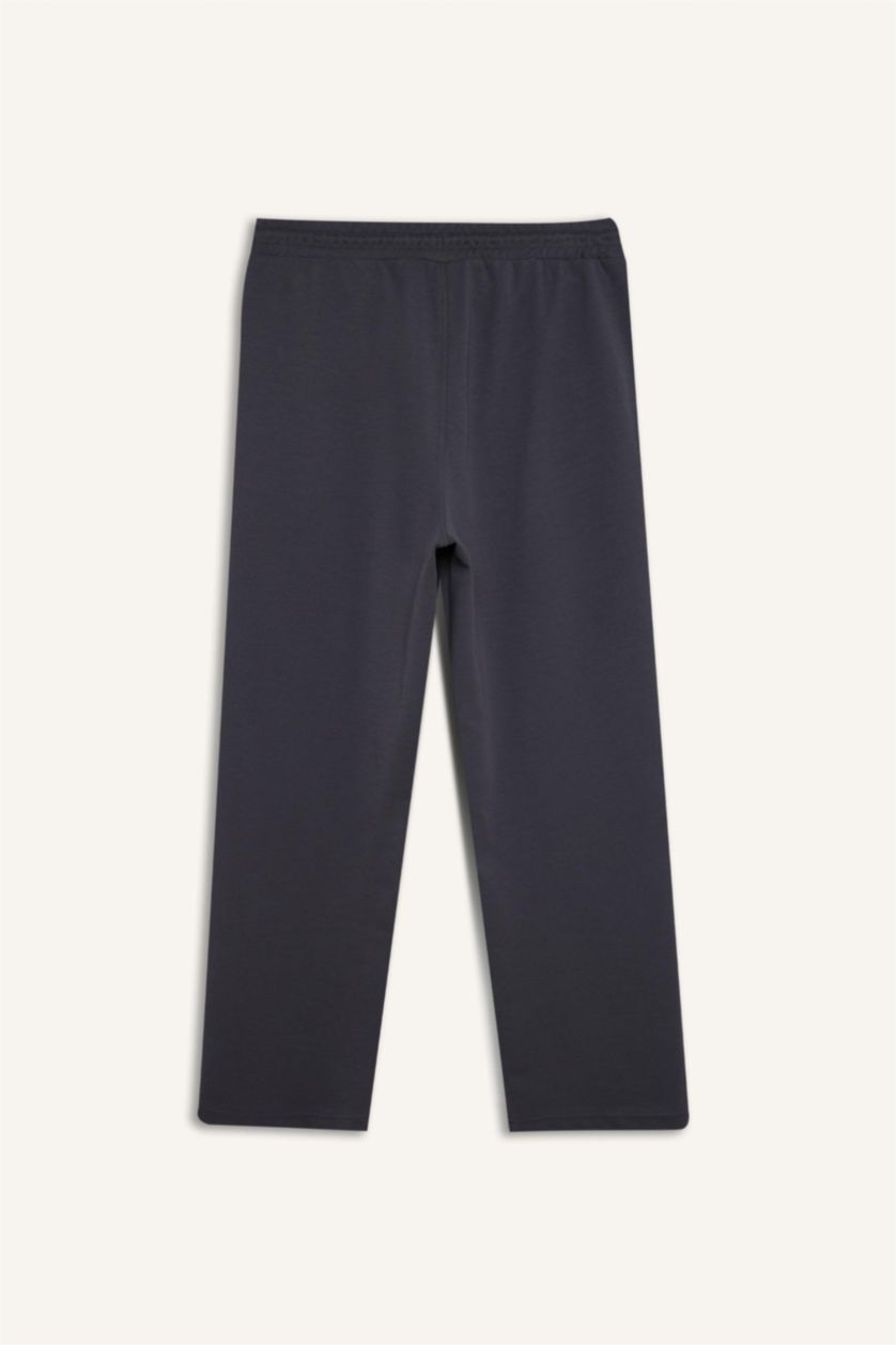 Men Anthracite Standard Fit Jogger