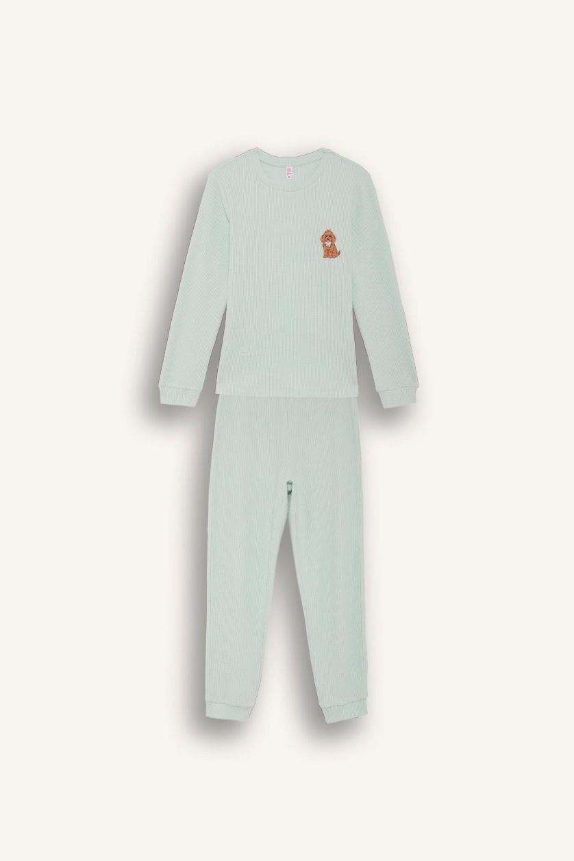 نساء نعناع سيت بجامة قصة عادية ردن طويل - قطعتين