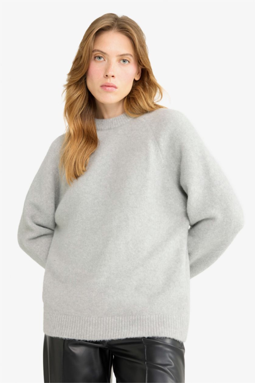WOMAN Grey Regular Fit Crew Neck Knit pullover