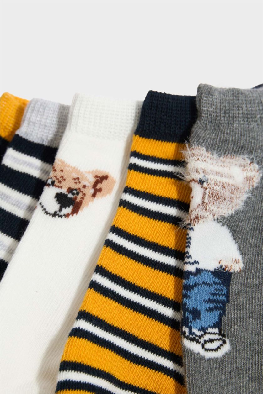 Erkek Çocuk - Genç Erkek Karma Ayıcıklı 5'li Pamuklu Patik Çorap Erkek Çocuk