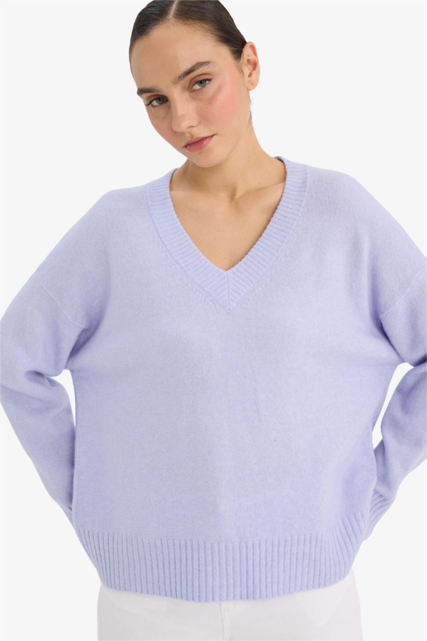 نساء أرجواني فاتح بلوز صوف اوفر سايز بياخة V