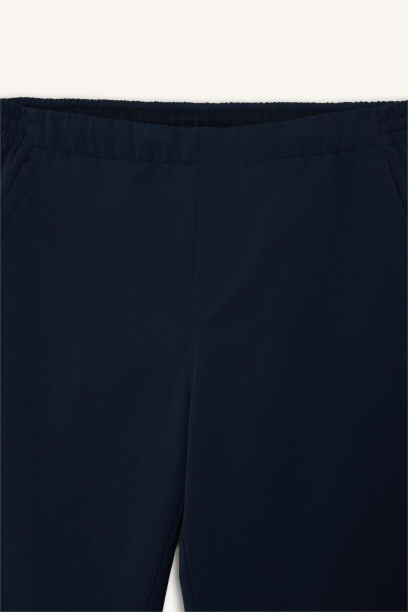 Мужчины Синий Брюки Standard Fit