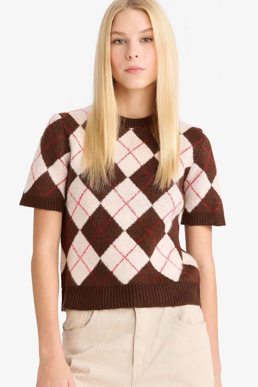 WOMAN Brown Slim Fit Crew Neck Argyle Patterned Knit Pullover