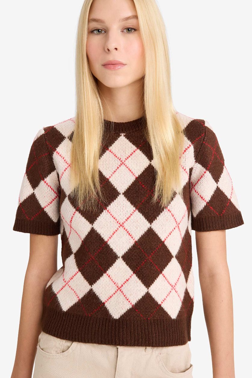 WOMAN Brown Slim Fit Crew Neck Argyle Patterned Knit Pullover