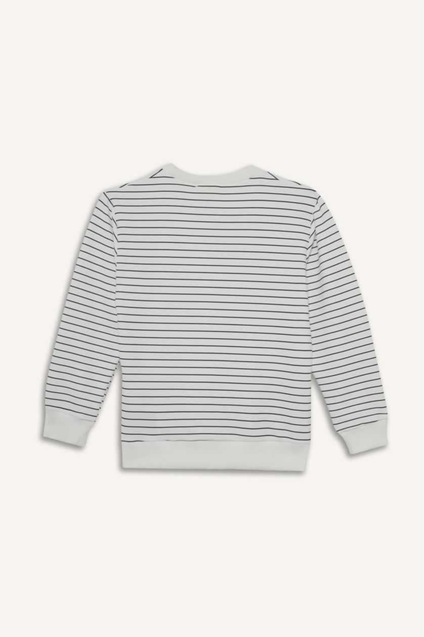 Erkek Çocuk - Genç Erkek Kırık Beyaz Bisiklet Yaka Çizgili Sweatshirt Erkek Çocuk