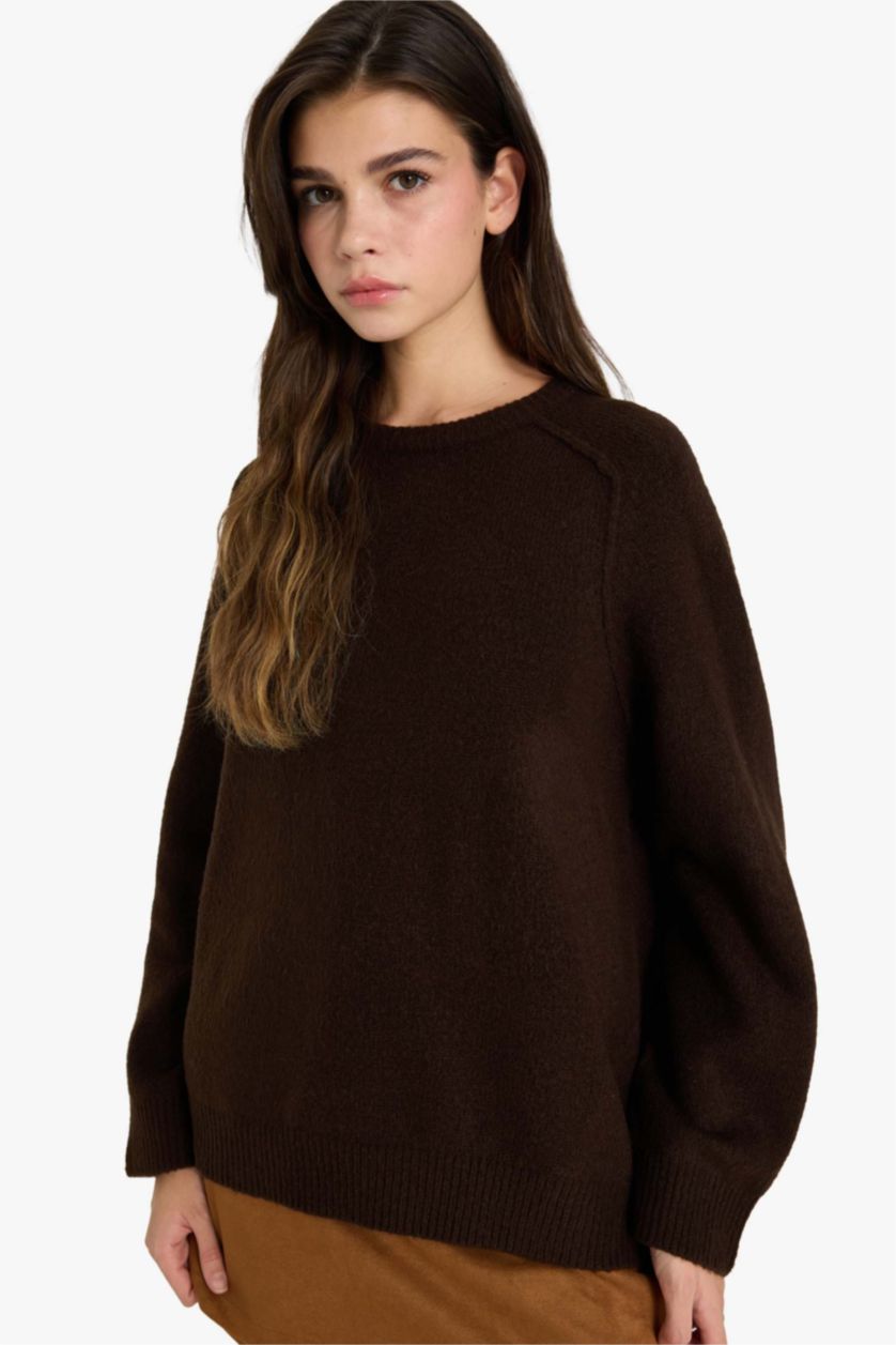 Woman Brown Oversize Fit Crew Neck Pullover