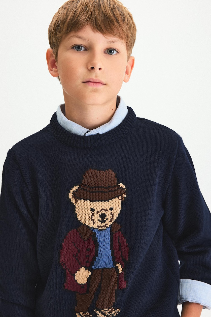 BOYS & TEENS NAVY Boy Crew Neck Knit Teddy Bear Print Pullover