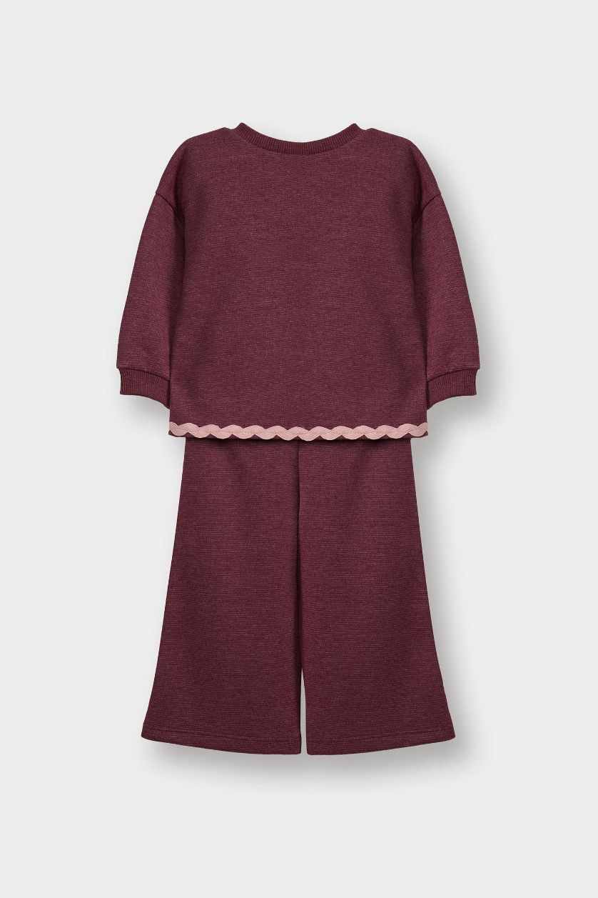 Baby Girl Purple Baby Girl Sweatshirt Fabric 2 Piece Set