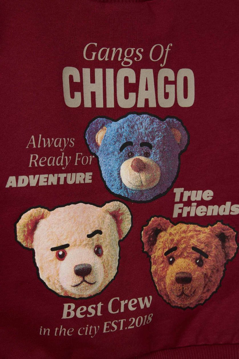 Baby Boy Bordeaux Baby Boy Bear Printed Thin Fabric 2 Piece Set