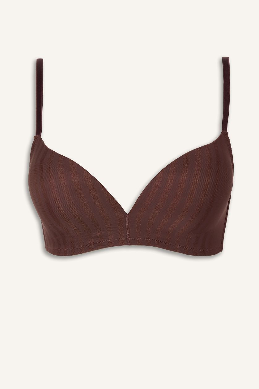 WOMAN Brown Micro Coated Padded Wireless Bra