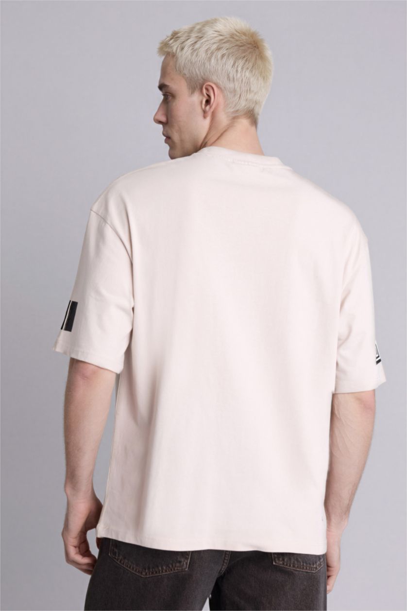 Erkek Taş Boxy Fıt Kısa Kollu Tişört