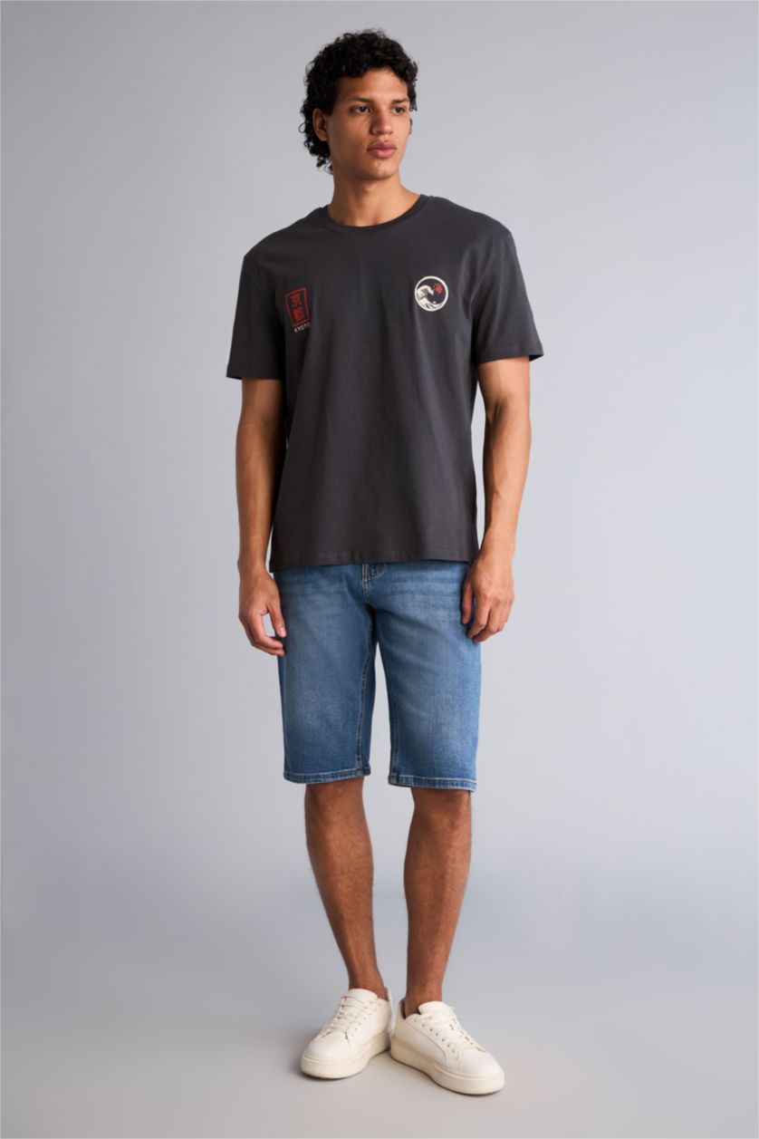 Erkek Antrasit Regular Fit Kısa kollu Baskılı Tişört