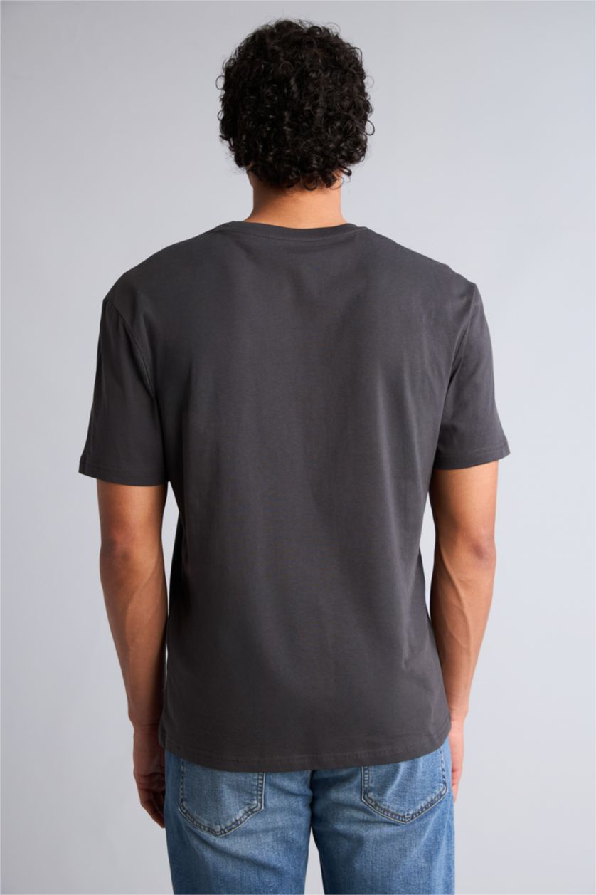 Erkek Antrasit Regular Fit Kısa kollu Baskılı Tişört