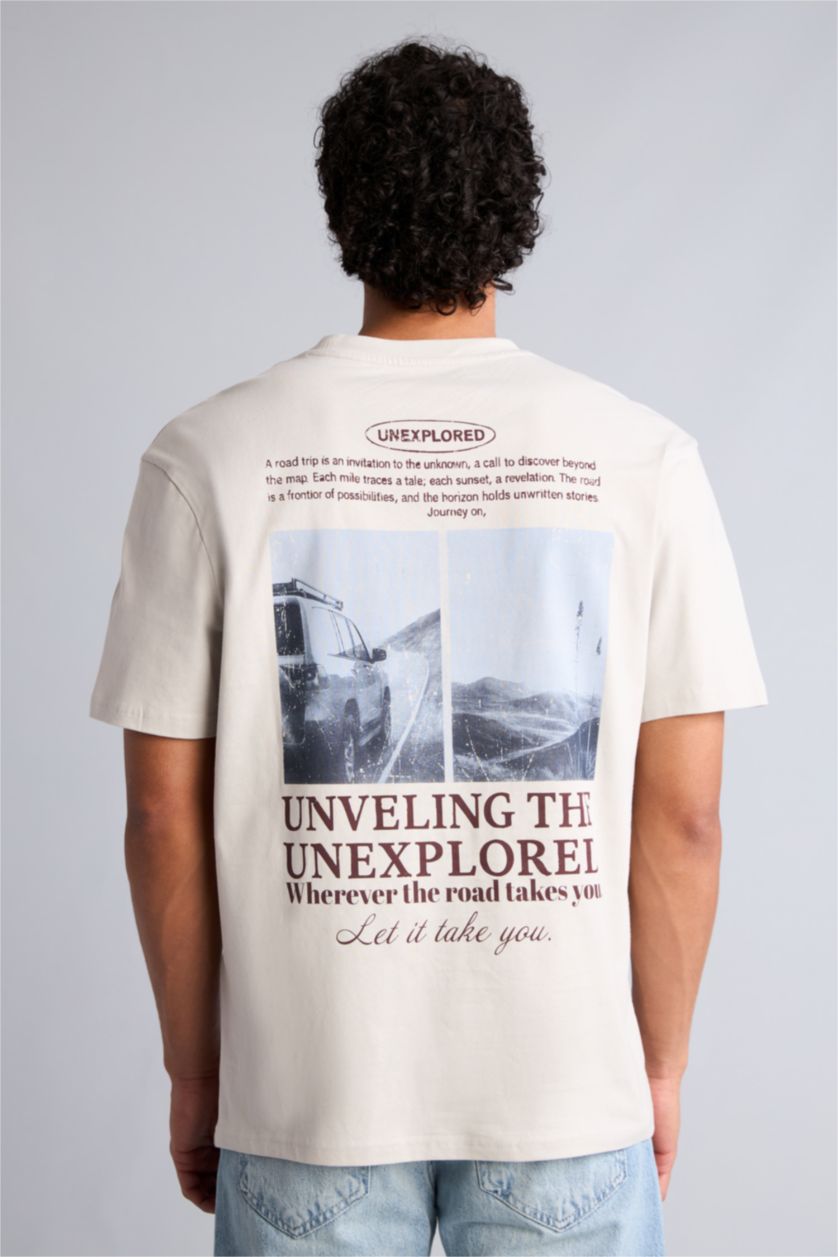 Erkek Taş Reguler Fit Baskılı Tişört