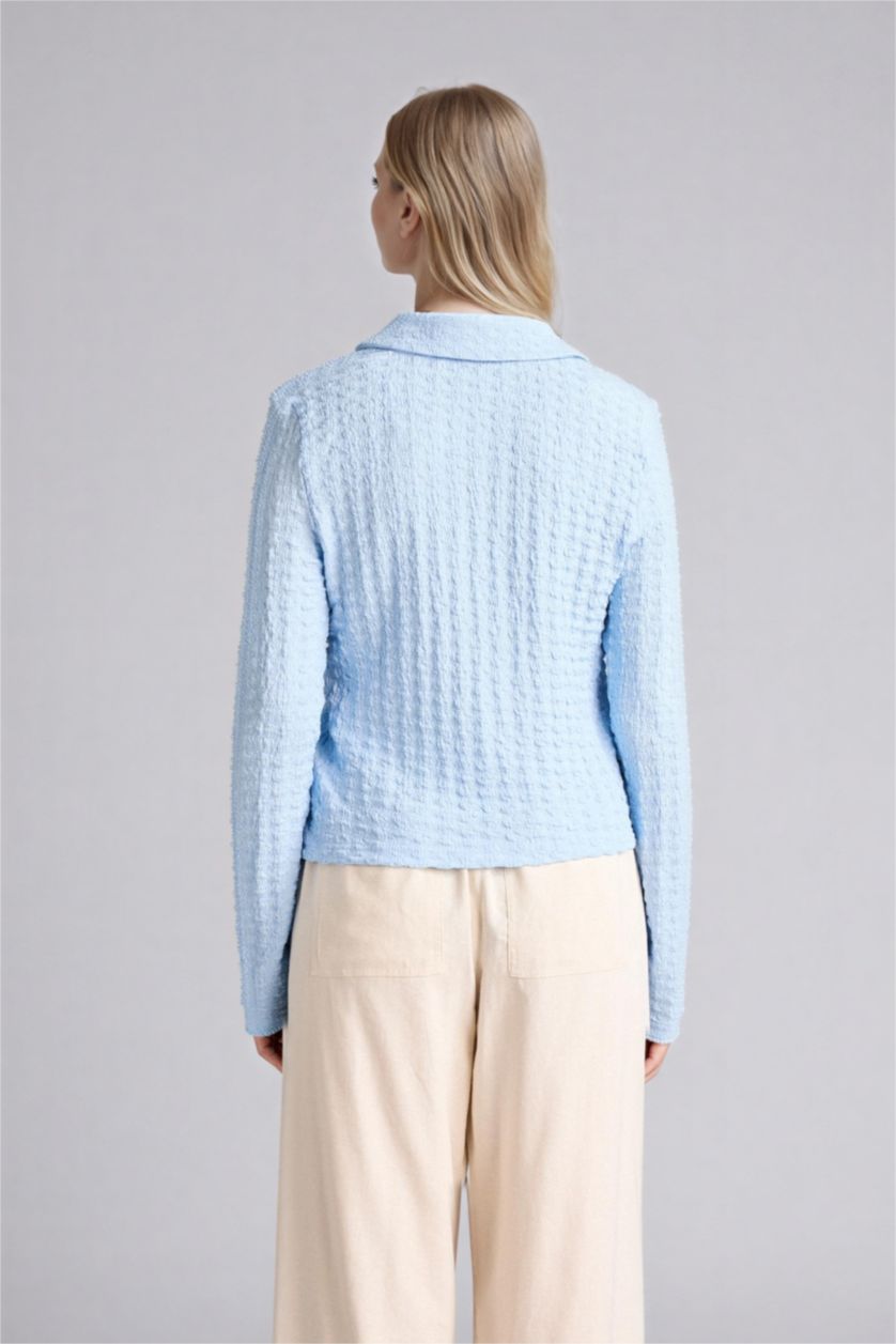 Женщины Светло-синий Блузка Bubble Fitted с рубашечным воротником и длинным рукавом