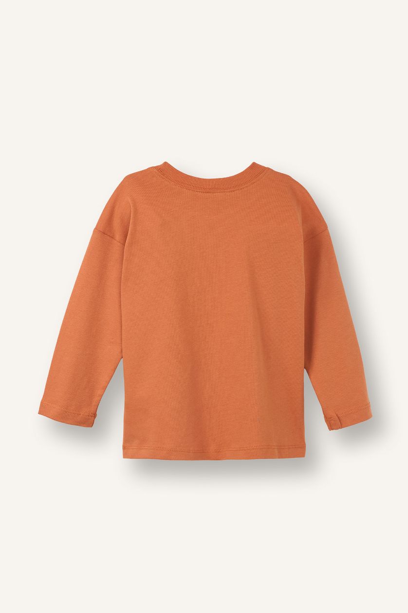 BABY BOY Camel Baby Boy 2 Piece Dinosaur Print T-Shirt