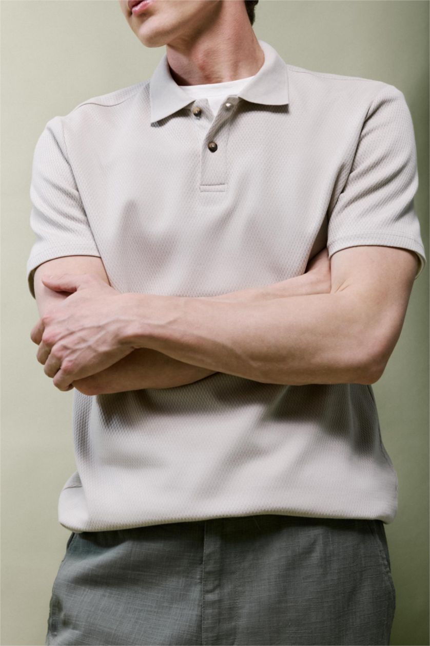 Erkek Taş Regular Fıt Kısa Kollu Tişört