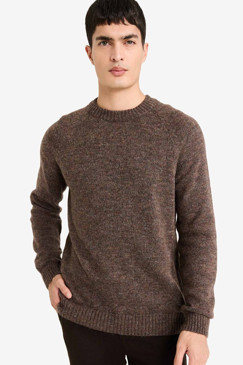 HOMME Marron Pull en maille à col rond Coupe standard