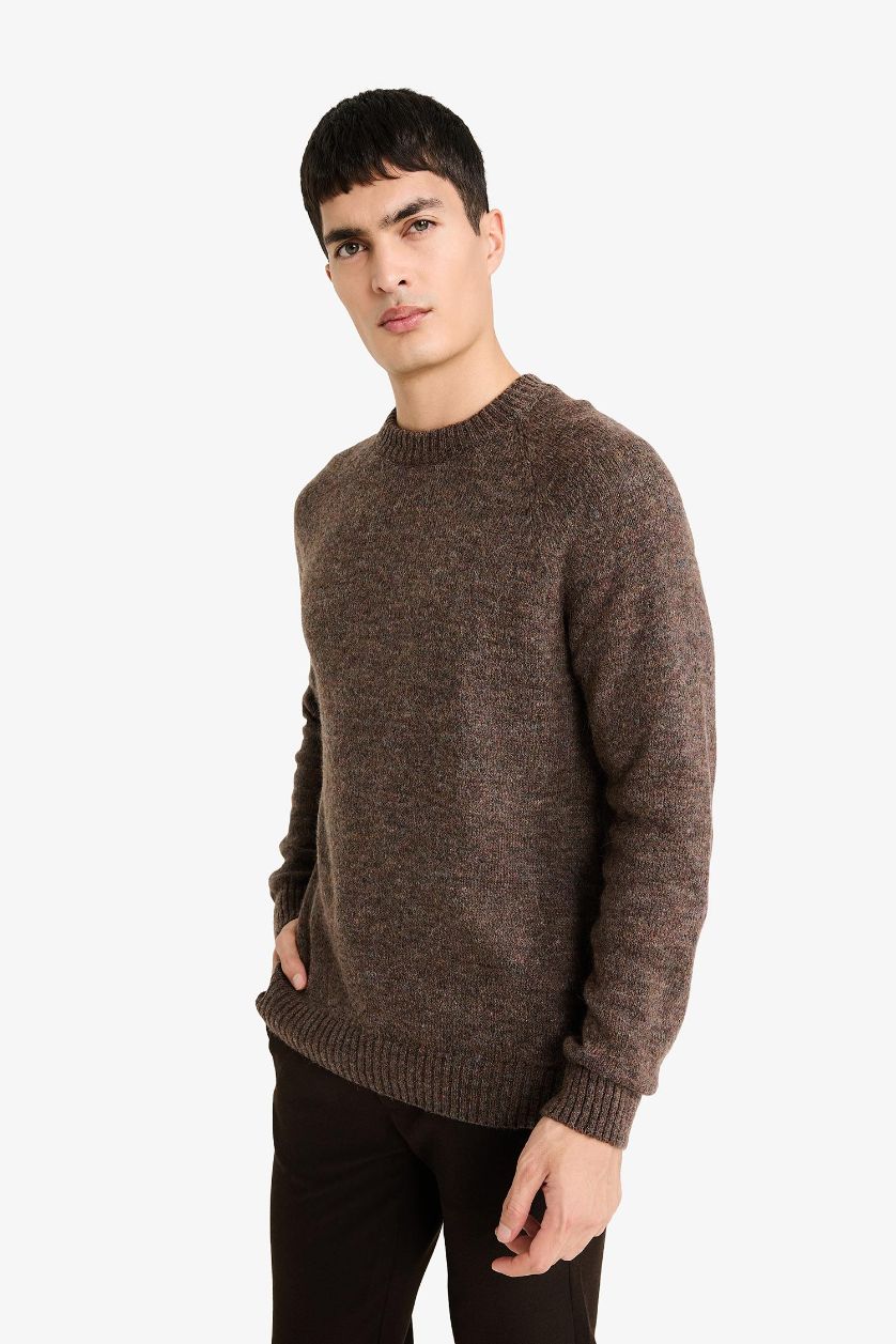 HOMME Marron Pull en maille à col rond Coupe standard