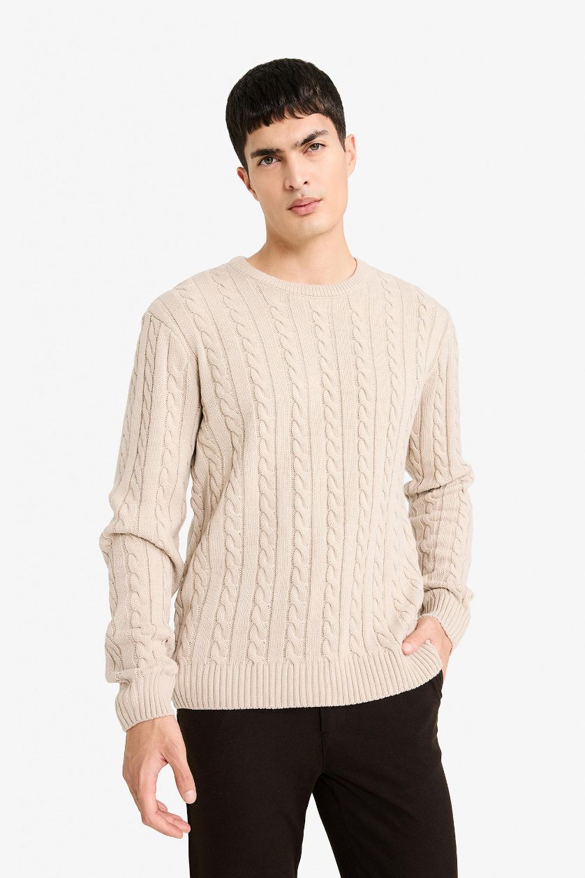 رجالي اللون الحجري بلوفر تريكو قصة عادية بياقة بسحاب