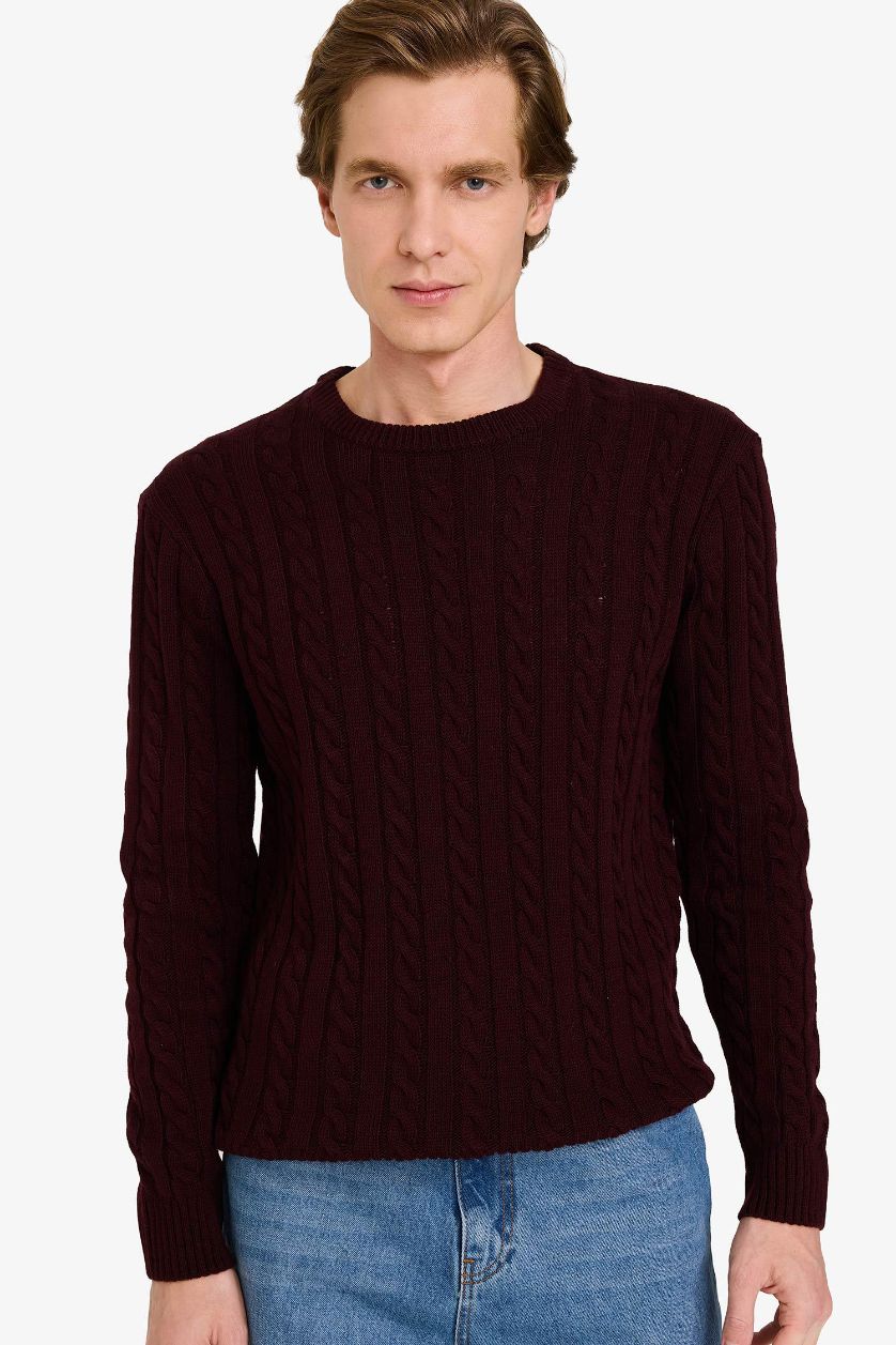 MAN Dark Bordeaux Standard Fit Zipper Knitwear Pullover