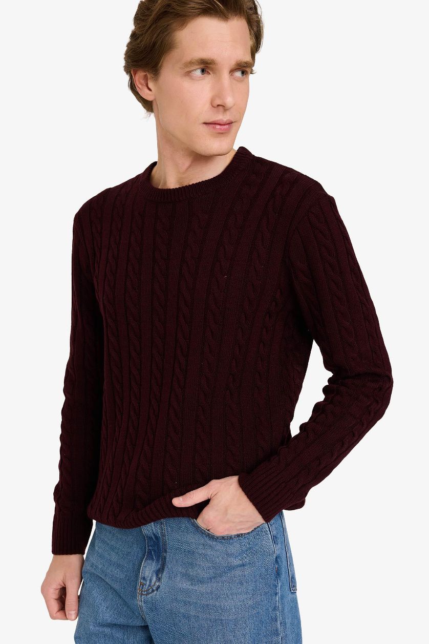 MAN Dark Bordeaux Standard Fit Zipper Knitwear Pullover