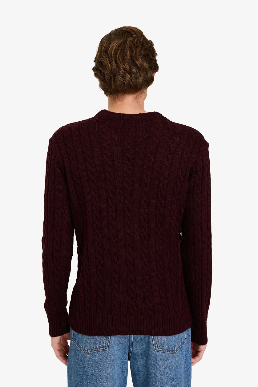 MAN Dark Bordeaux Standard Fit Zipper Knitwear Pullover