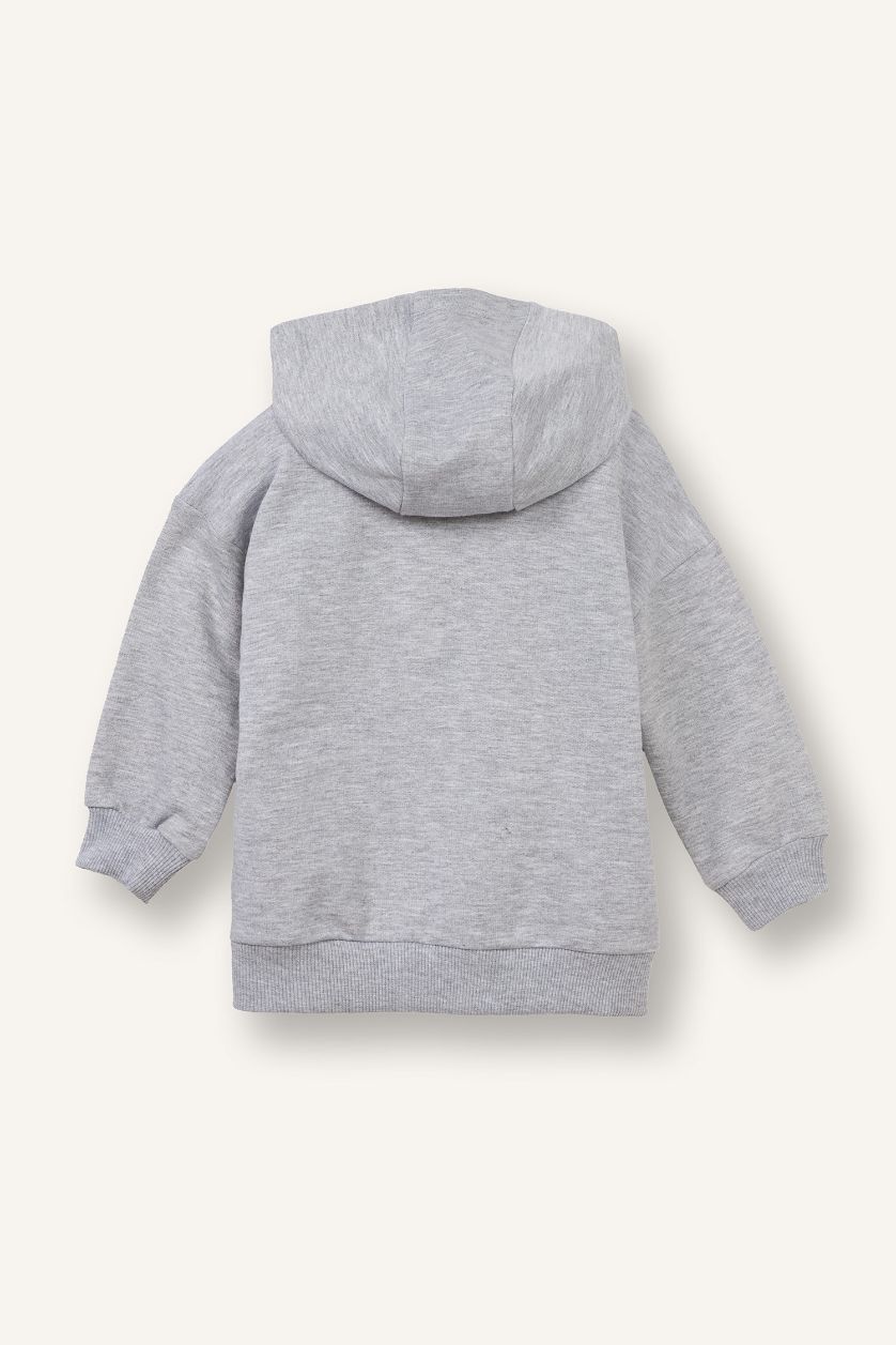 Baby Boy Light Grey Baby Boy Regular Fit Hooded 2 Piece Sweatshirts