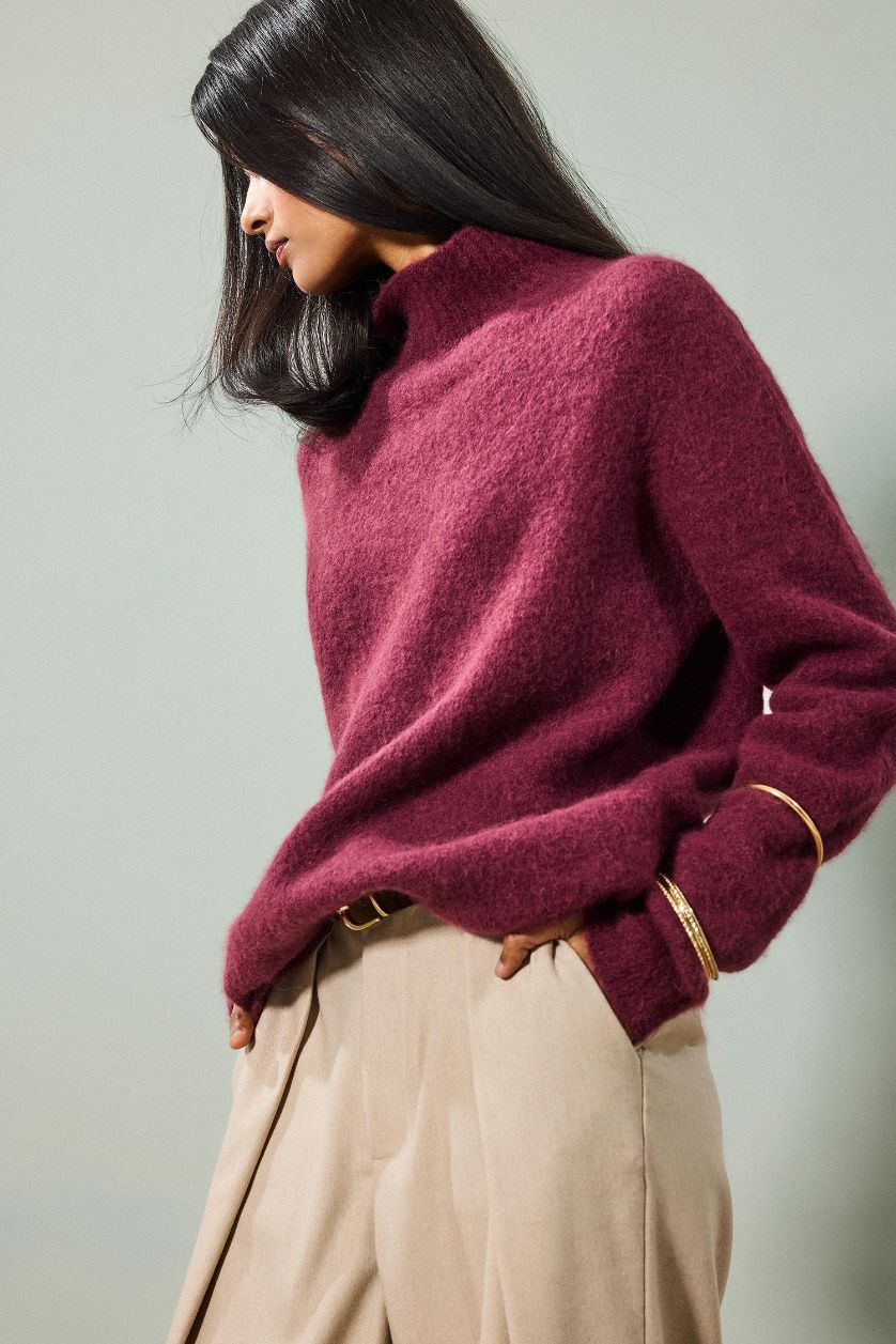 Woman Purple Regular Fit Turtleneck Knitwear Pullover