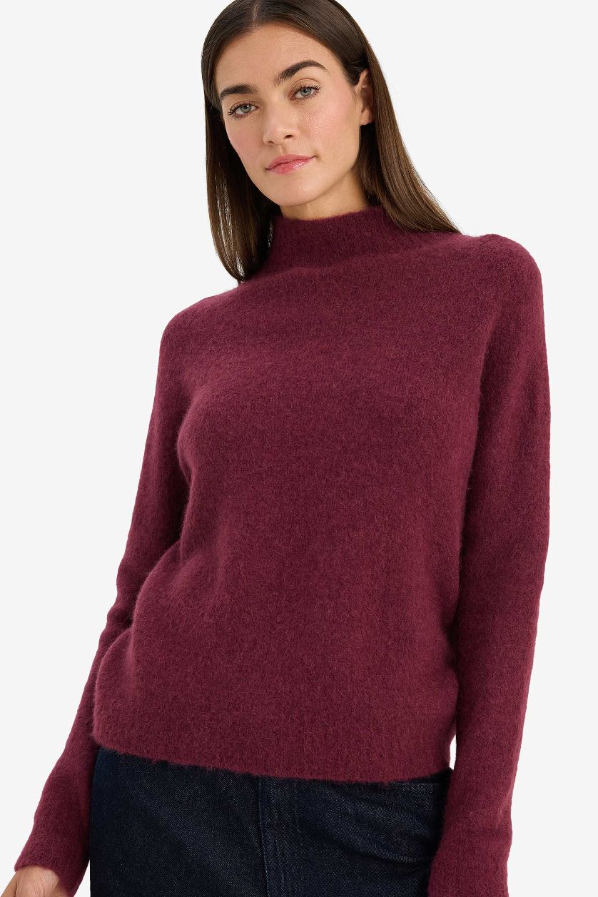 Woman Purple Regular Fit Turtleneck Knitwear Pullover