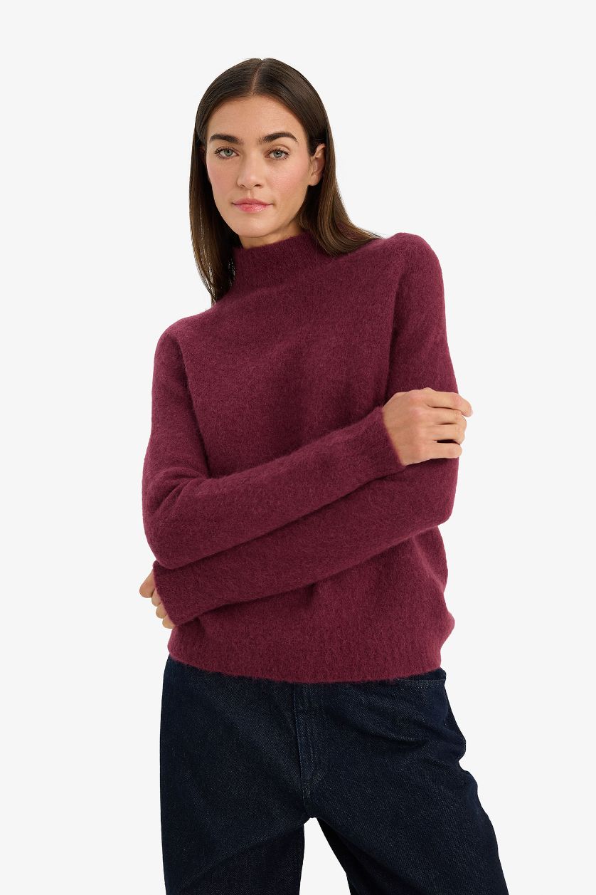 Woman Purple Regular Fit Turtleneck Knitwear Pullover